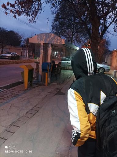 عکس امام رضا  14