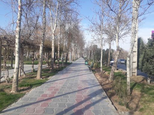 عکس بوستان هامون