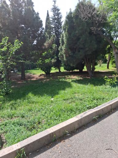 عکس بوستان بیست و دو بهمن