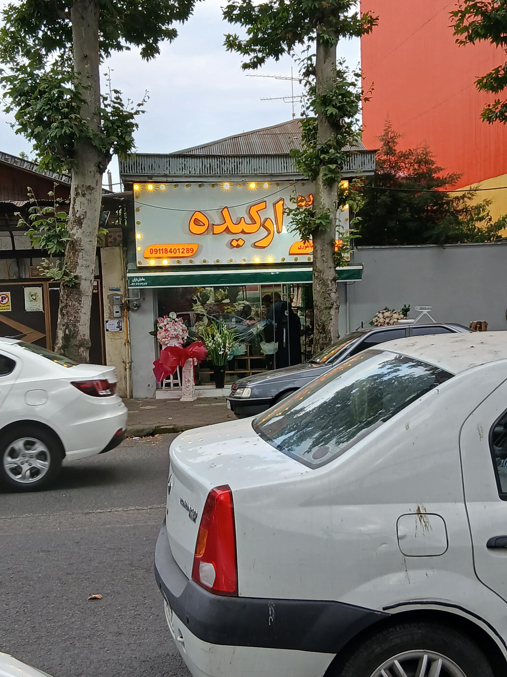 عکس گل فروشی  ارکیده