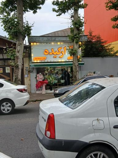 عکس گل فروشی  ارکیده