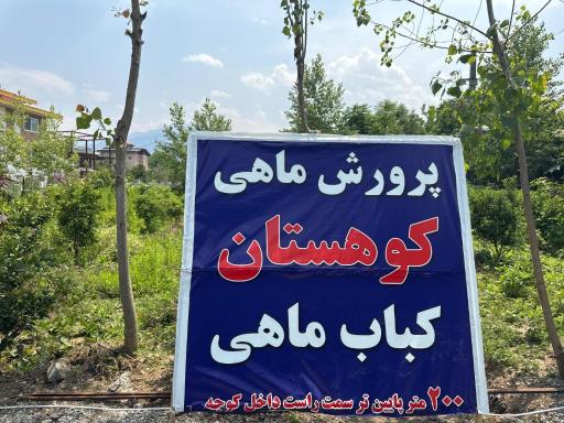 عکس پرورش و پخت قزل آلای کوهستان