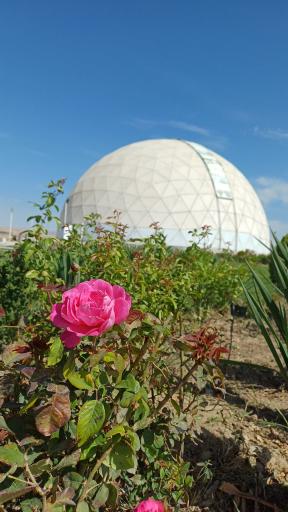 عکس رصدخانه مراغه