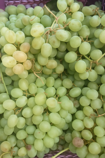 عکس میوه سرای ادریس