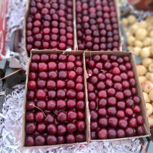 میوه سرای ادریس