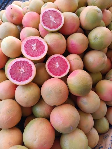 عکس میوه سرای ادریس