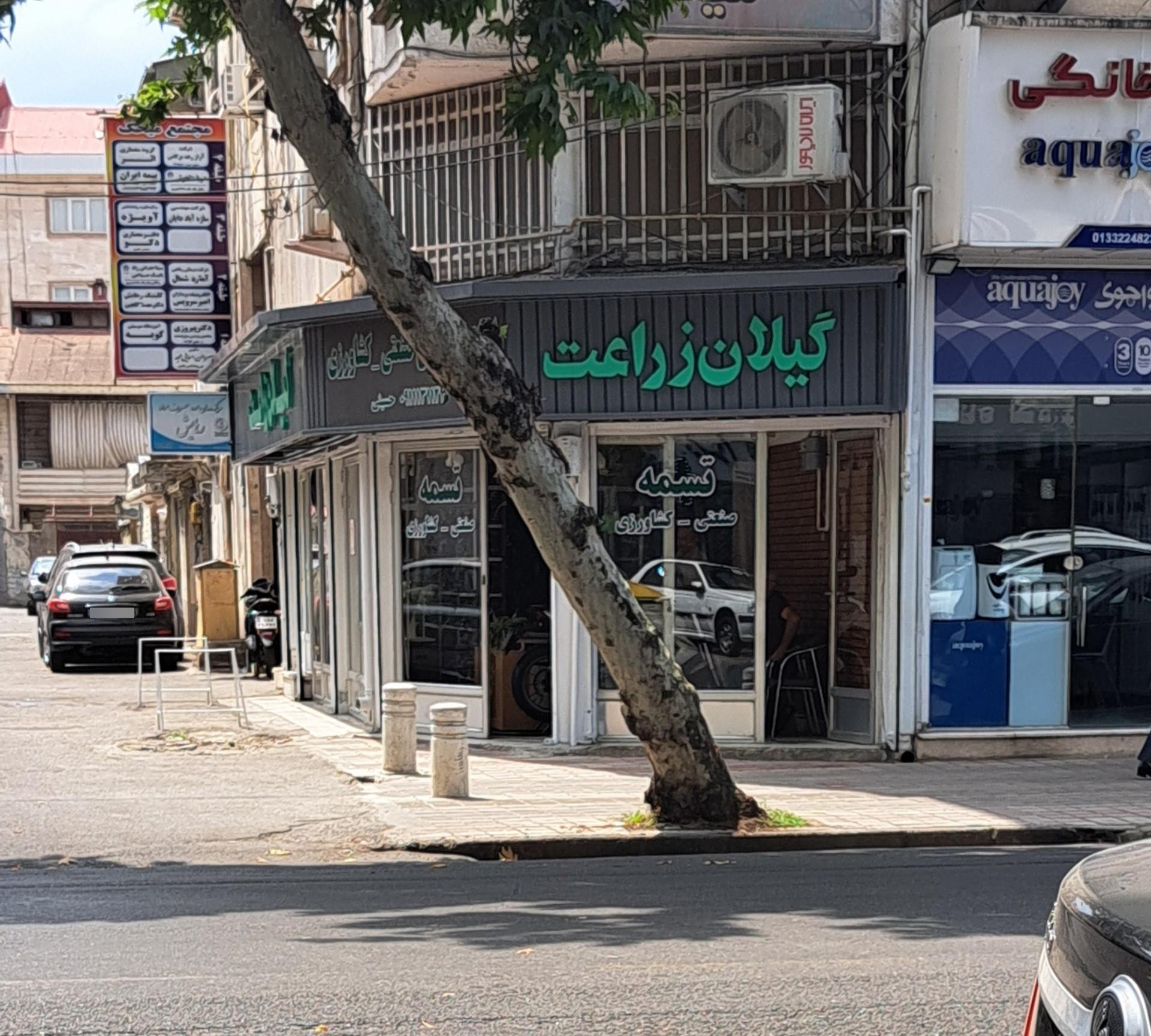 عکس گیلان زراعت