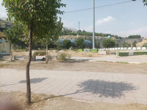 عکس هواپیمای‌ نمایشی‌