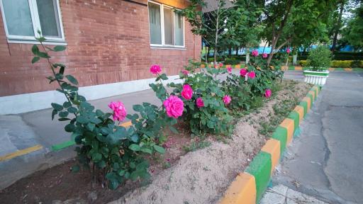 عکس مهمانسرای امام علی (ع) پشتیبانی ارتش