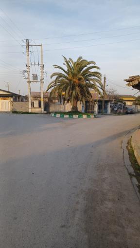 عکس میدان نخل