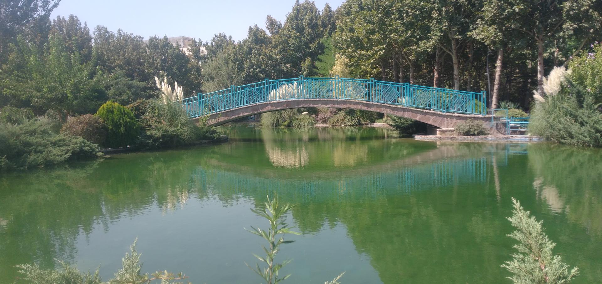 عکس بوستان هامون