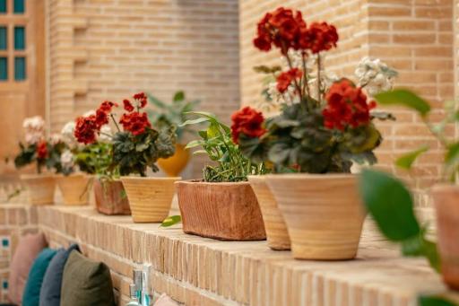 عکس هتل سنتی شهباز