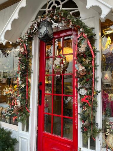 عکس سایه گل