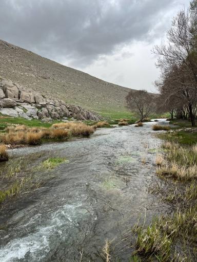 عکس چشمه حک بلاغ