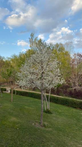 عکس مجتمع فرهنگی رفاهی بانک ملی ایران