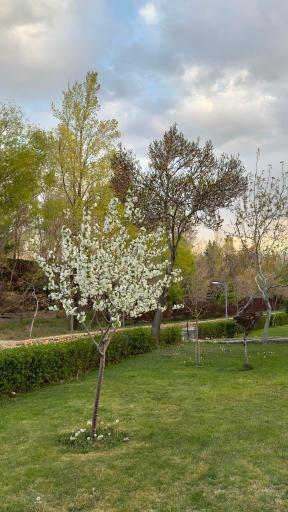 عکس مجتمع فرهنگی رفاهی بانک ملی ایران