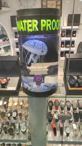 عکس گالری سجاد