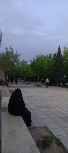 عکس بوستان بنفشه