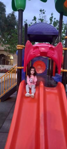 عکس بوستان بنفشه