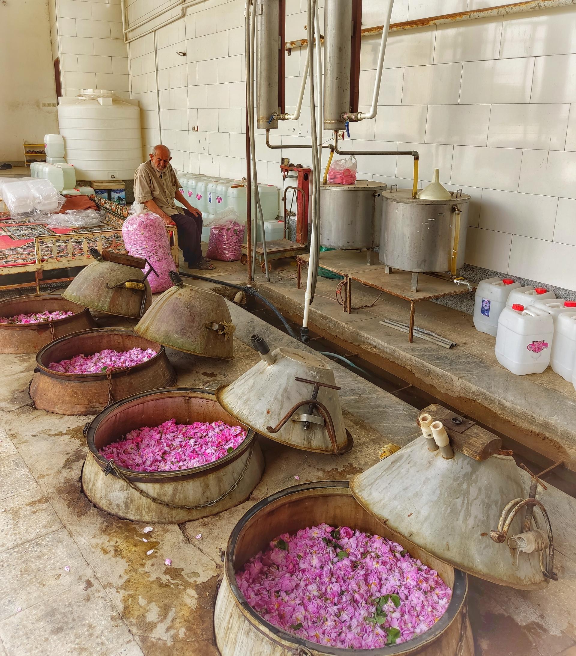 عکس کارگاه گلابگیری صامعی