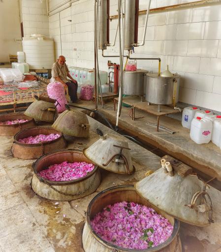 عکس کارگاه گلابگیری صامعی