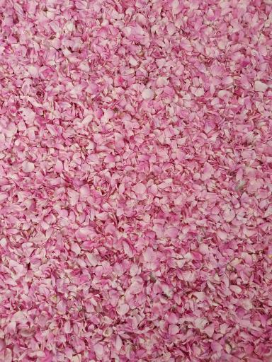 عکس کارگاه گلابگیری صامعی