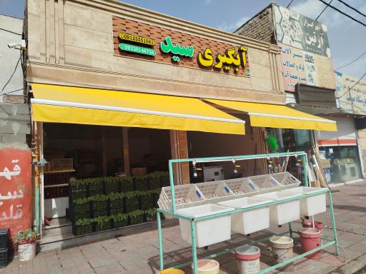 عکس آبگیری سید