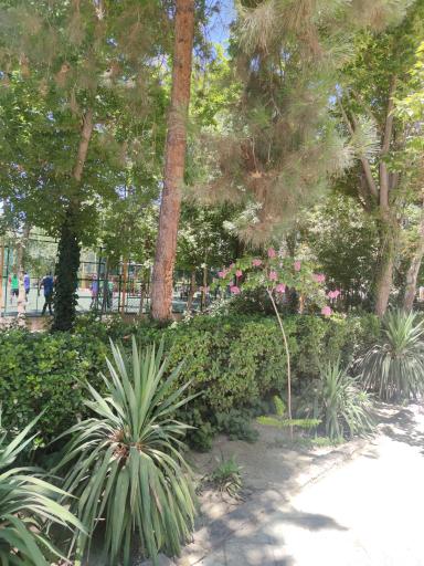 عکس بوستان میرزا کوچک خان