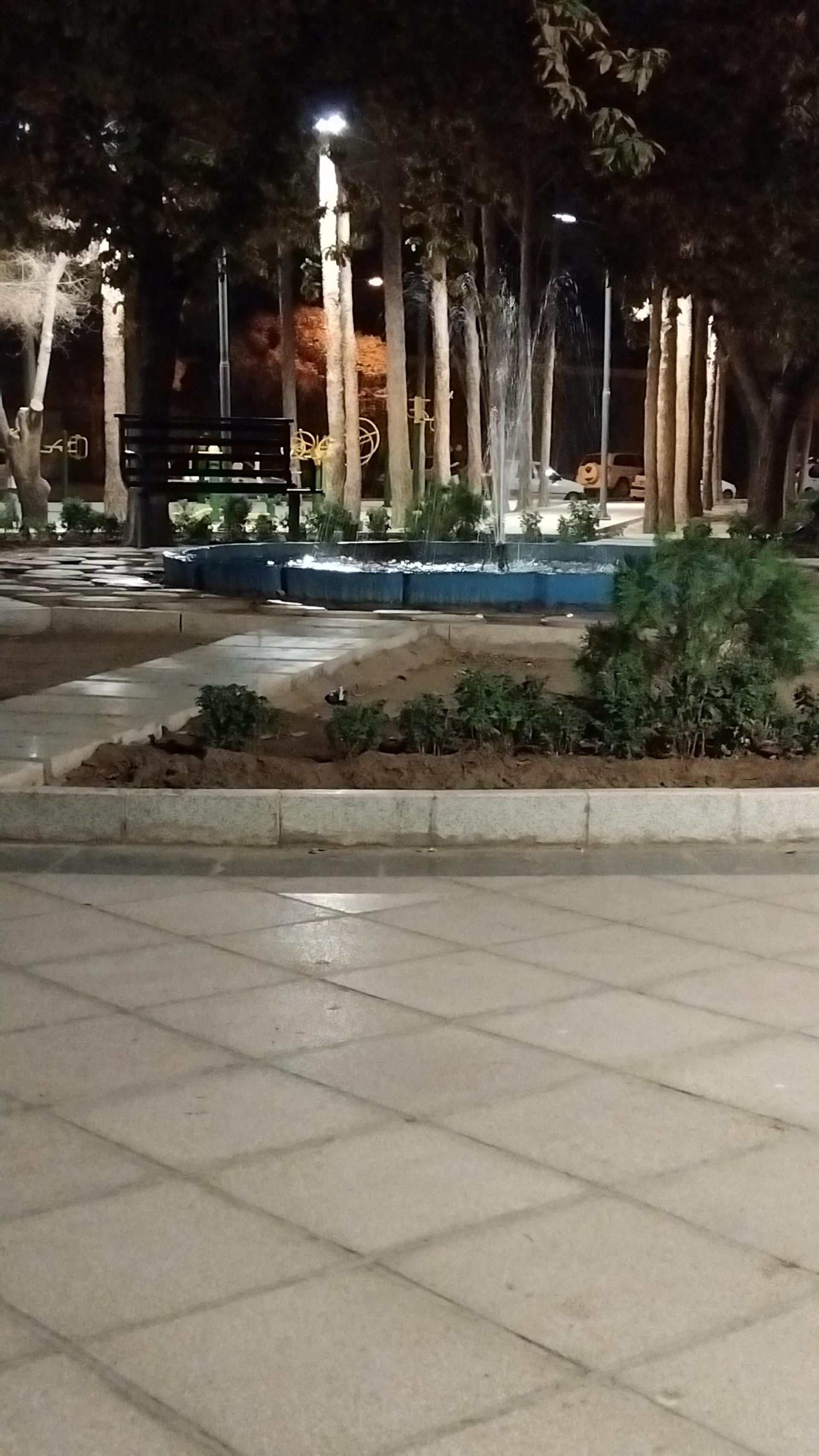 عکس پارک لاله