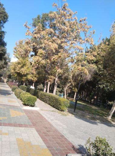 بوستان میرزا کوچک خان