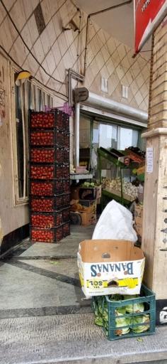 عکس میوه و تره بار