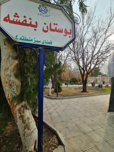 عکس بوستان بنفشه