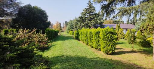 عکس پارکینگ باغ گیاه شناسی 
