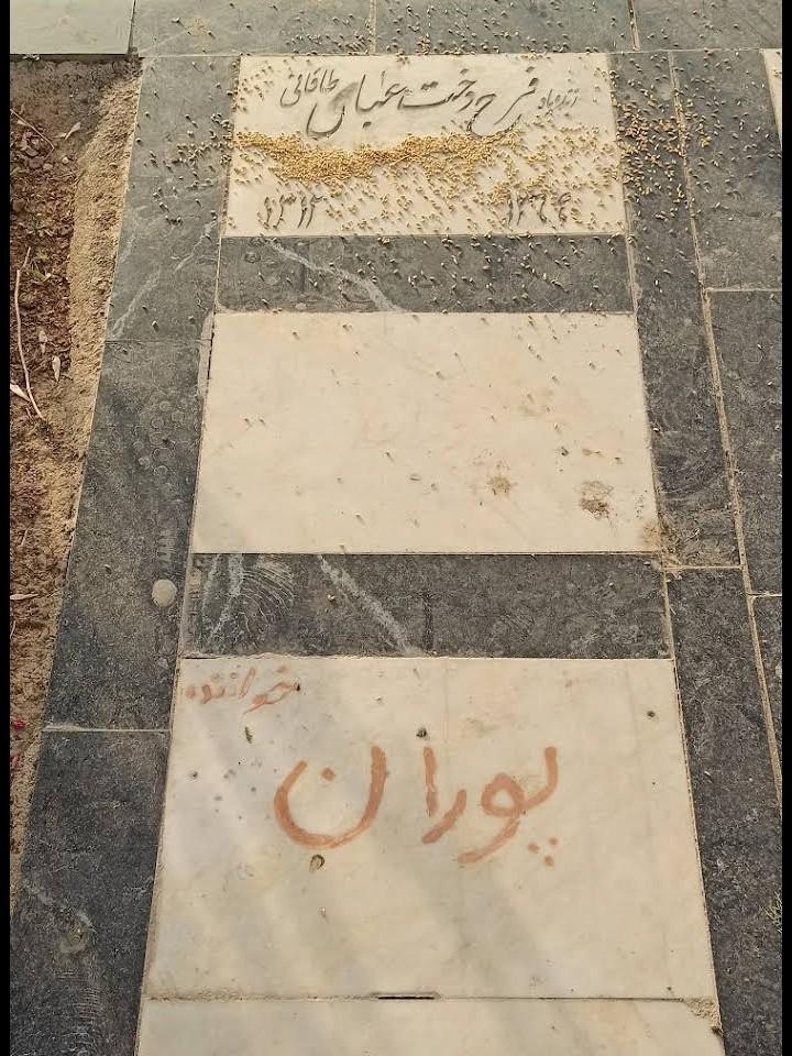 عکس آرامگاه فرح‌دخت عباس طاقانی (پوران)
