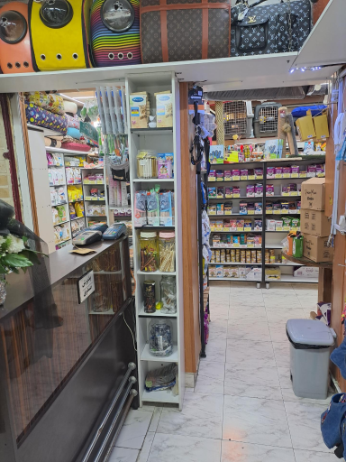 عکس کلبه حیوانات دروس 