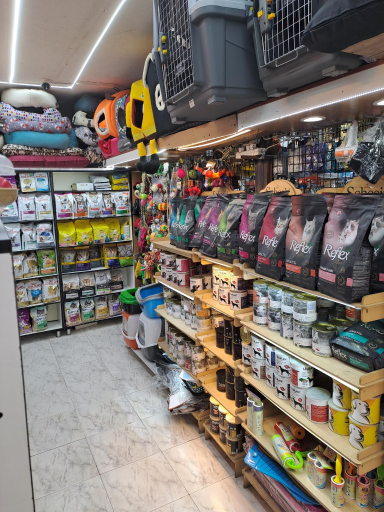 عکس کلبه حیوانات دروس 