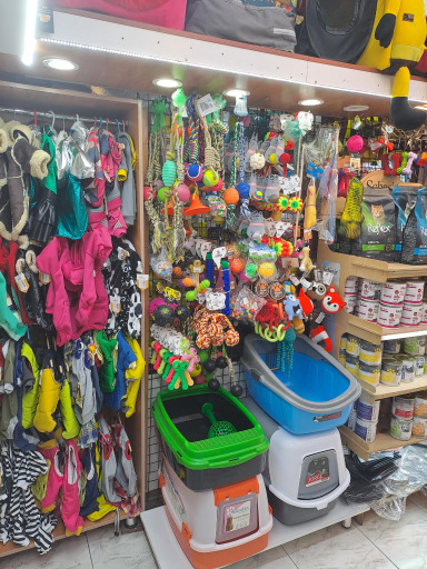 عکس کلبه حیوانات دروس 