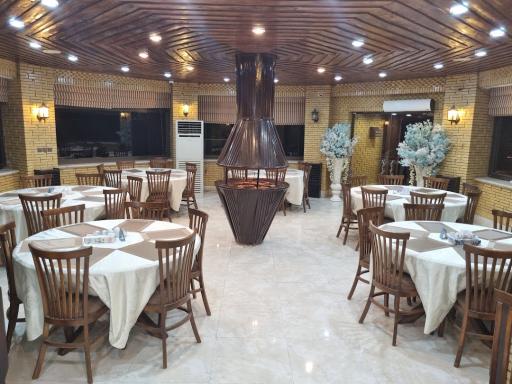 عکس نخل سبز