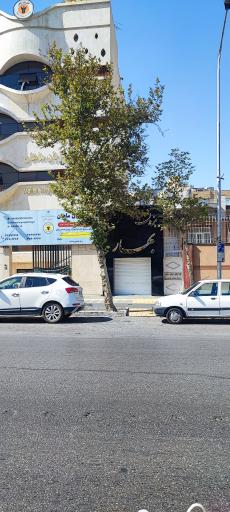 عکس مزون بهار