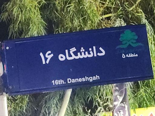 عکس کافه قلیونی ویولا