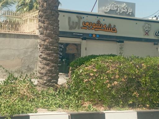 عکس خشکشویی آریا