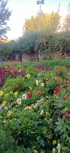 عکس پارک ایران زمین