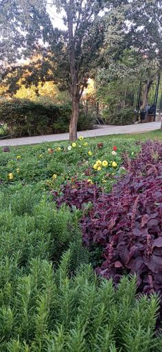 عکس پارک ایران زمین