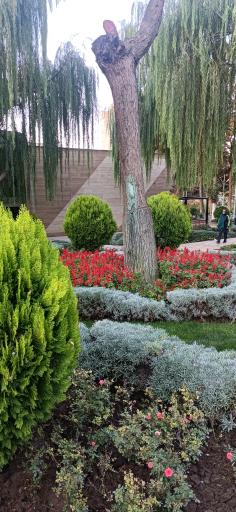 عکس پارک ایران زمین