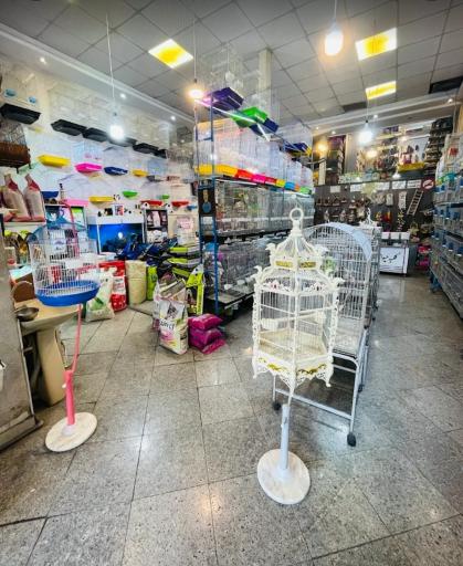 عکس پت شاپ کلبه حیوانات