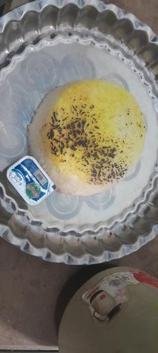 عکس کباب ساطوری آیلین بناب