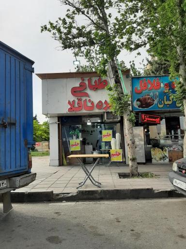 عکس طباخی بره ناقلا