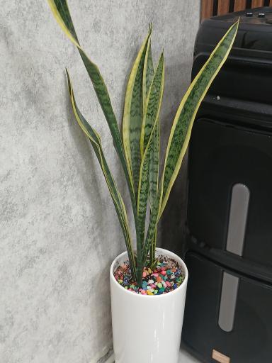 عکس آرایشگاه کلاسیک کات