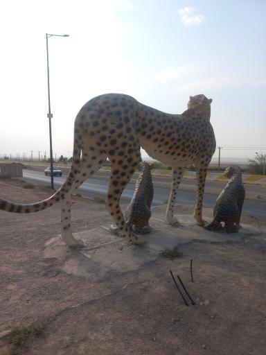 عکس ورودی به شهر میامی