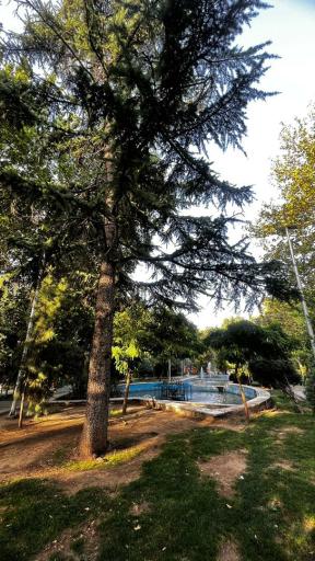 عکس بوستان گلبرگ